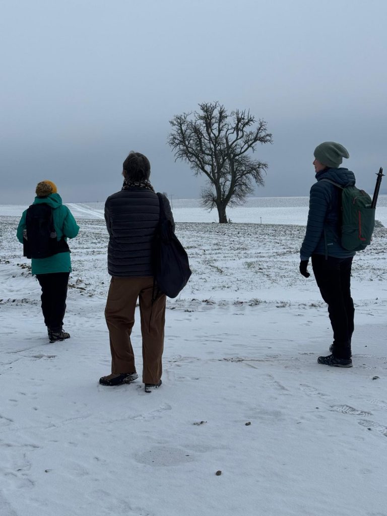 Drei Personen von hinten, in der Mitte steht ein knorriger Baum.