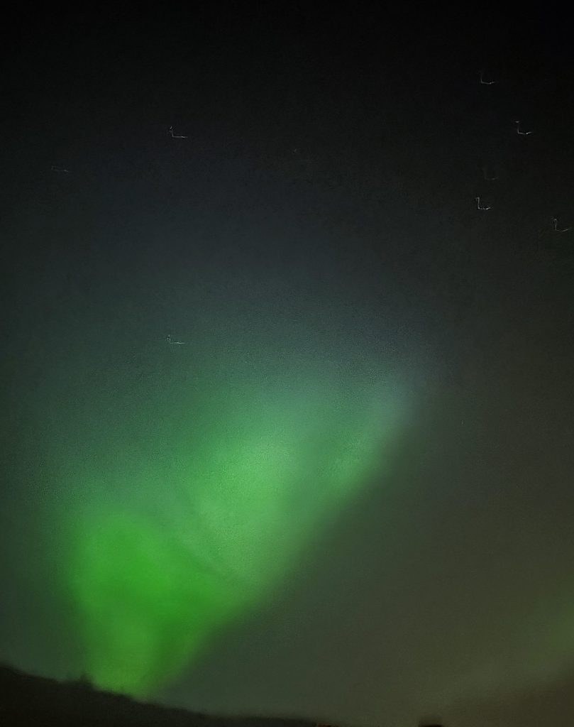 Nordlichter über Baden-Württemberg