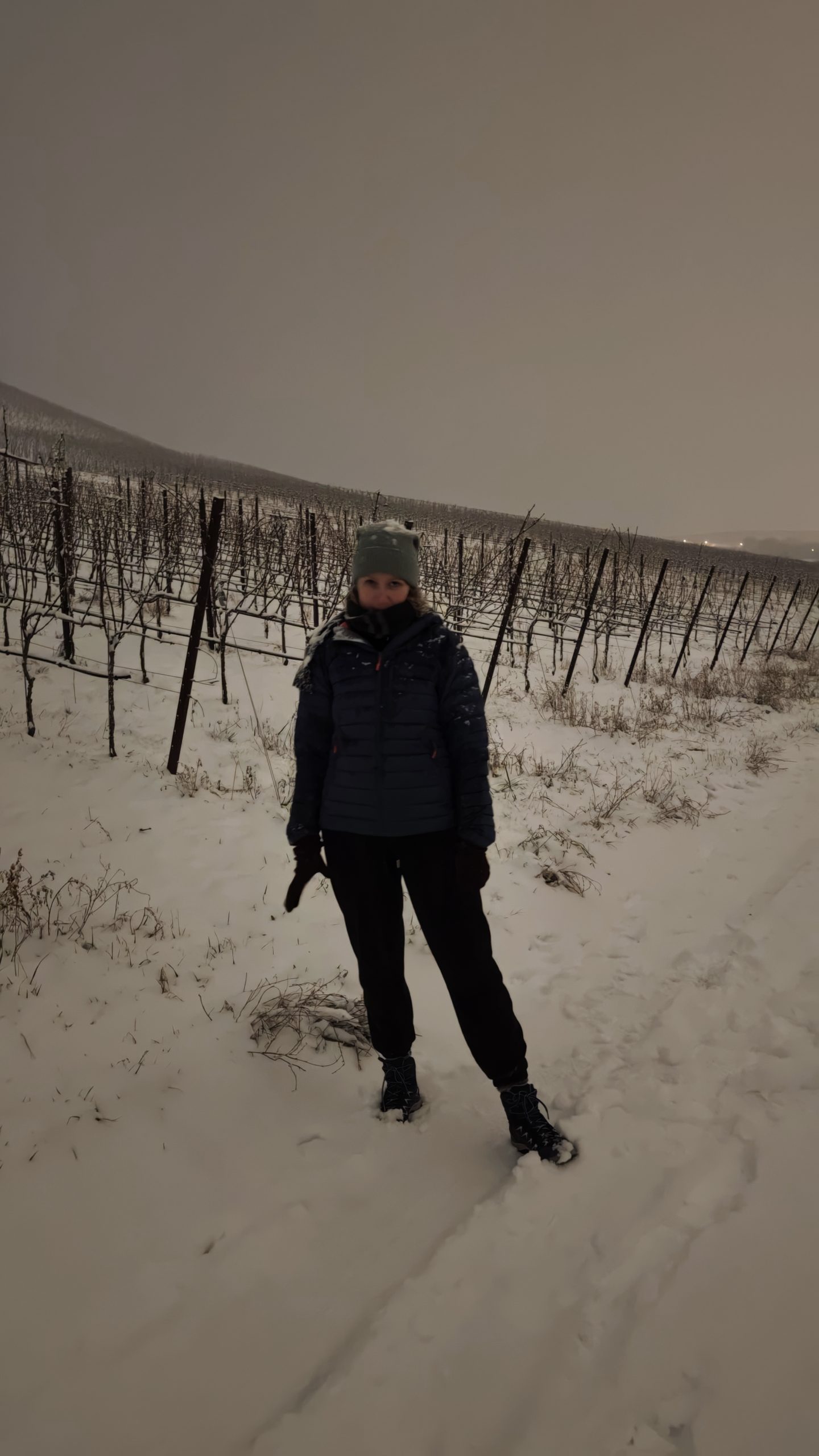 Eine Frau vor einem verschneiten Weinberg in der Dämmerung.