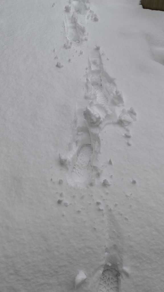 Spuren im Schnee.