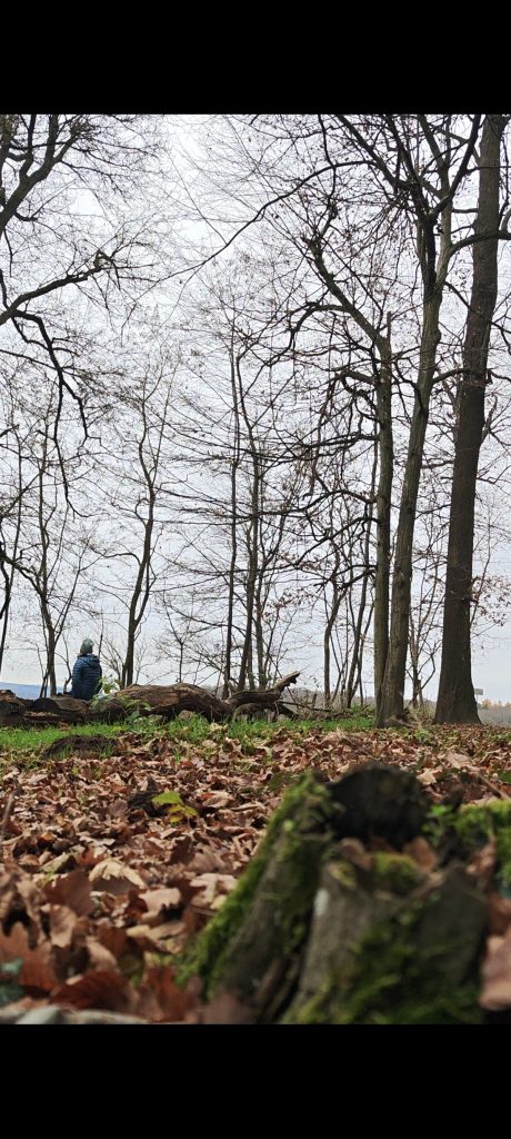 Im Vordergrund liegt Laub. Im Hintergrund sieht man eine Person auf einem umgekippten Baumstamm sitzen.