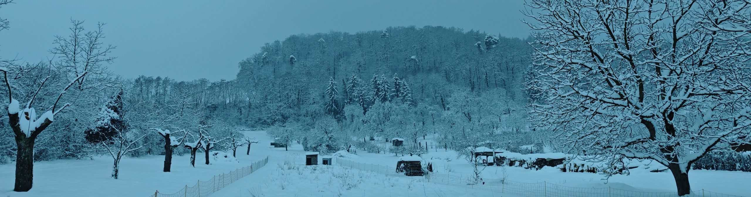 Woche 4 meiner Mikroabenteuer-Challenge | Unerwarteter Schneefall