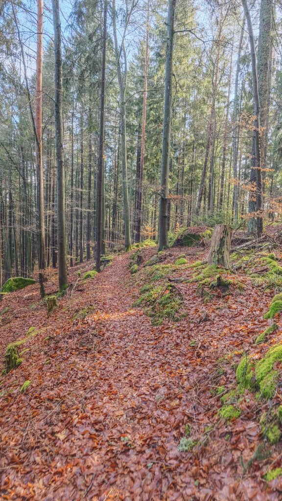 Eindrücke der Roundtour durch das Sulzkar im Schwarzwald.
