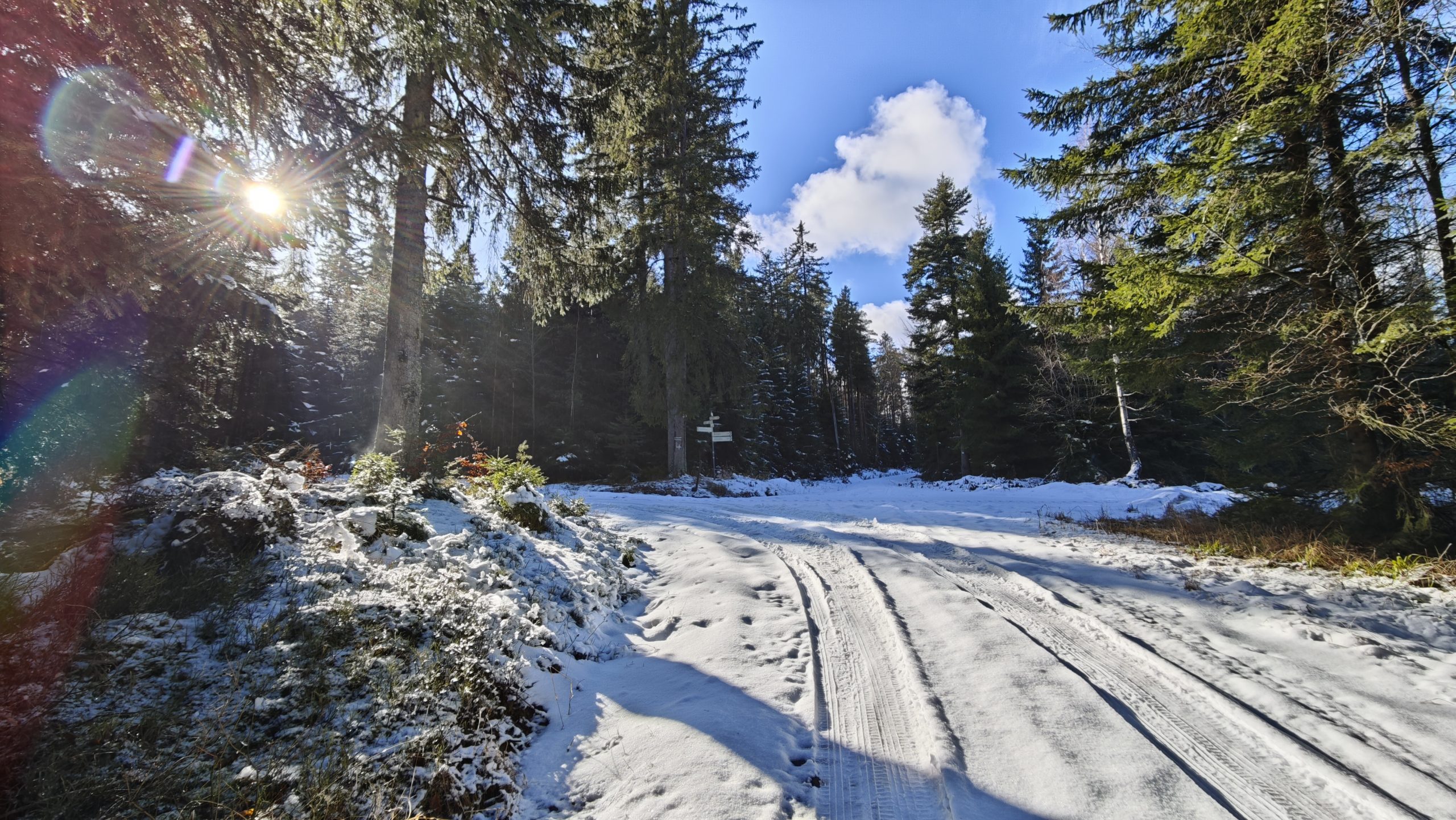 Eindrücke der Roundtour durch das Sulzkar im Schwarzwald.