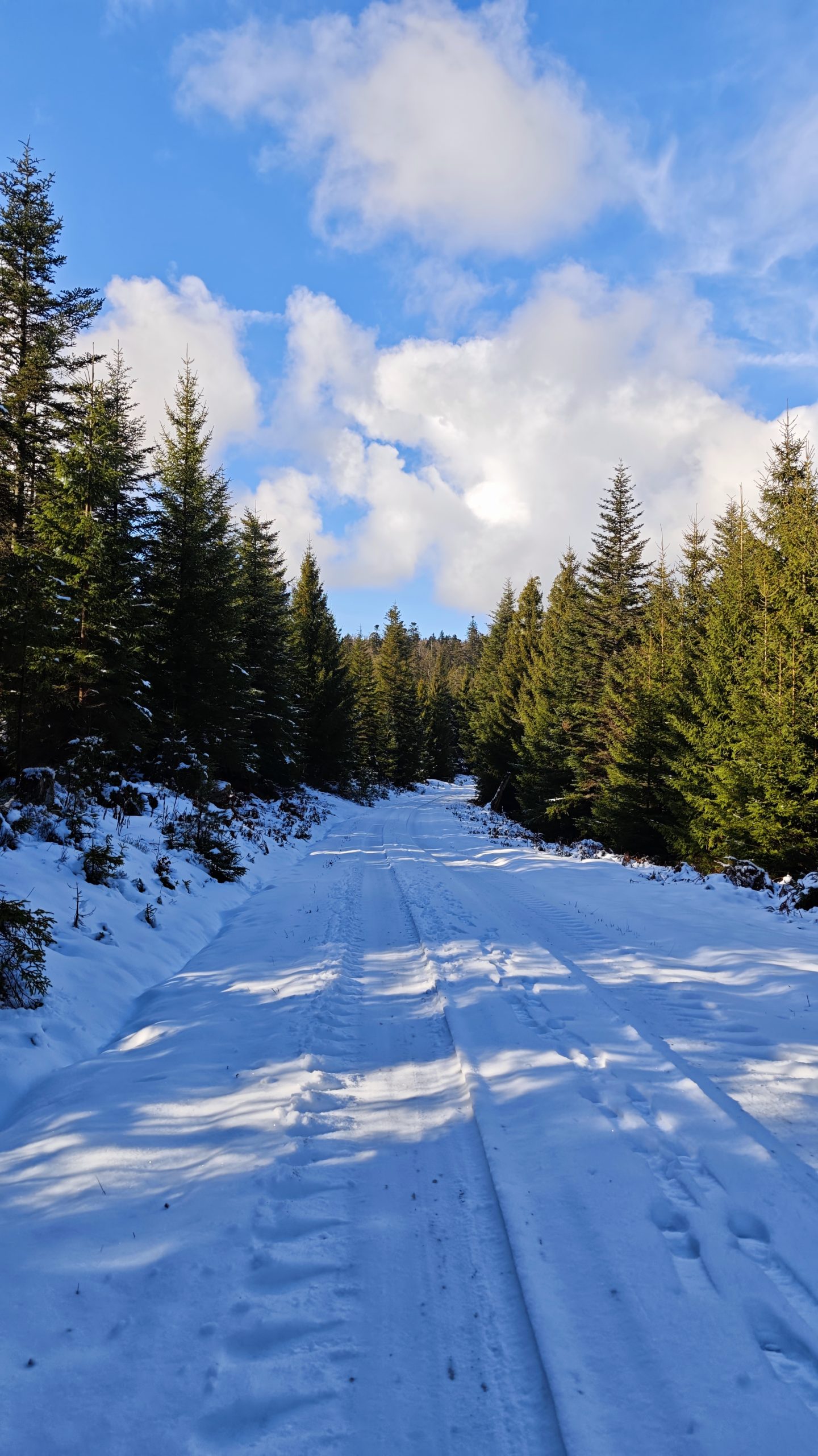 Eindrücke der Roundtour durch das Sulzkar im Schwarzwald.