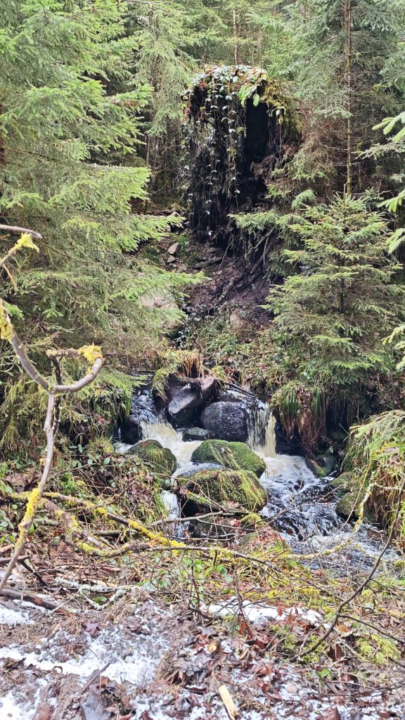 Eindrücke der Roundtour durch das Sulzkar im Schwarzwald.