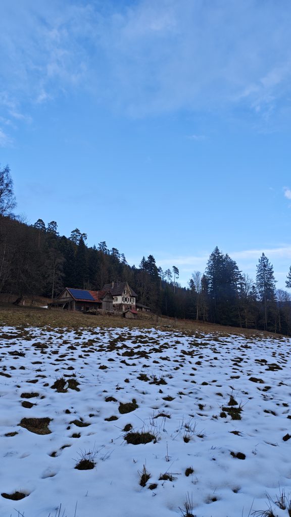 Eindrücke der Roundtour durch das Sulzkar im Schwarzwald.