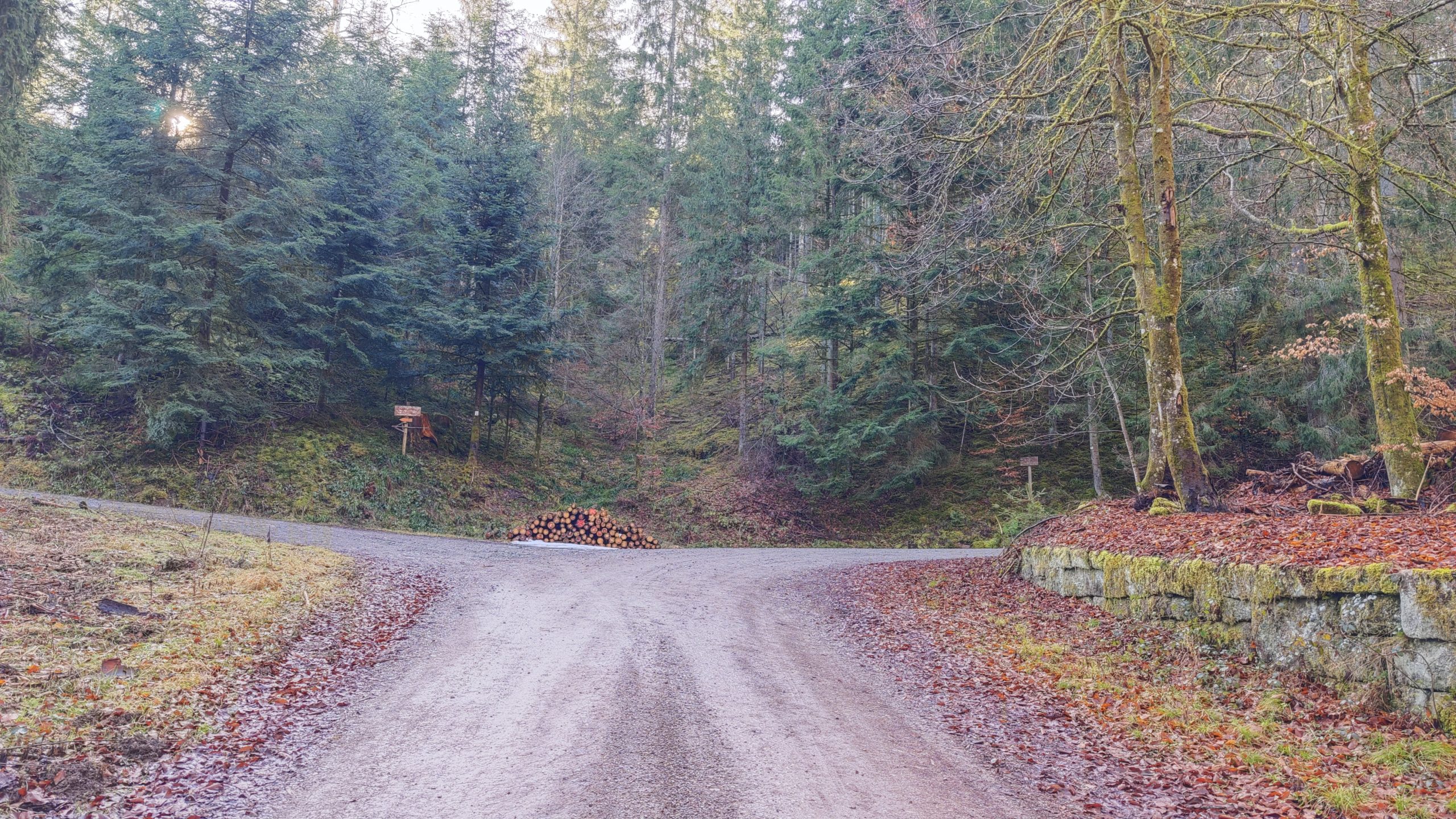 Eindrücke der Roundtour durch das Sulzkar im Schwarzwald.