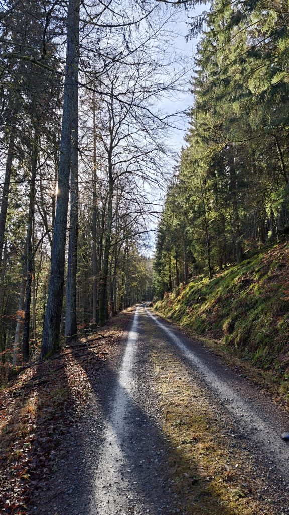 Eindrücke der Roundtour durch das Sulzkar im Schwarzwald.