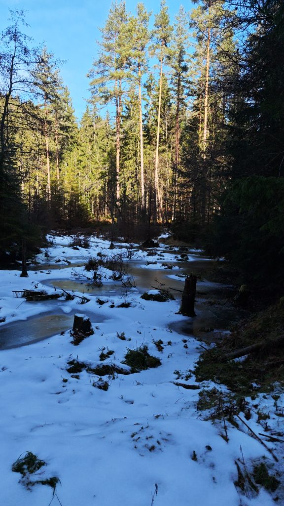 Eindrücke der Roundtour durch das Sulzkar im Schwarzwald.