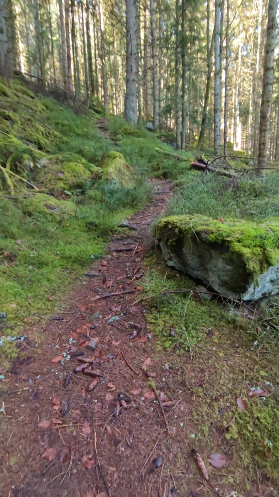 Eindrücke der Roundtour durch das Sulzkar im Schwarzwald.